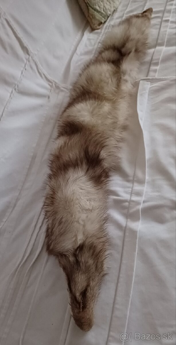 Golier- čiapka polárna líška - 3