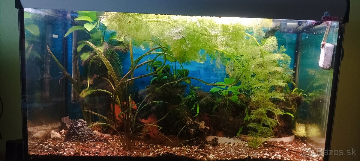 Akvarium 200l - 3