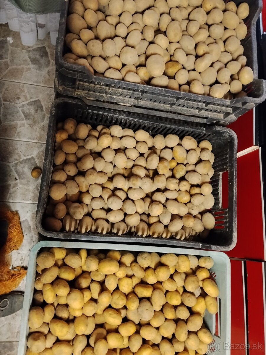 Mám na predaj - 3