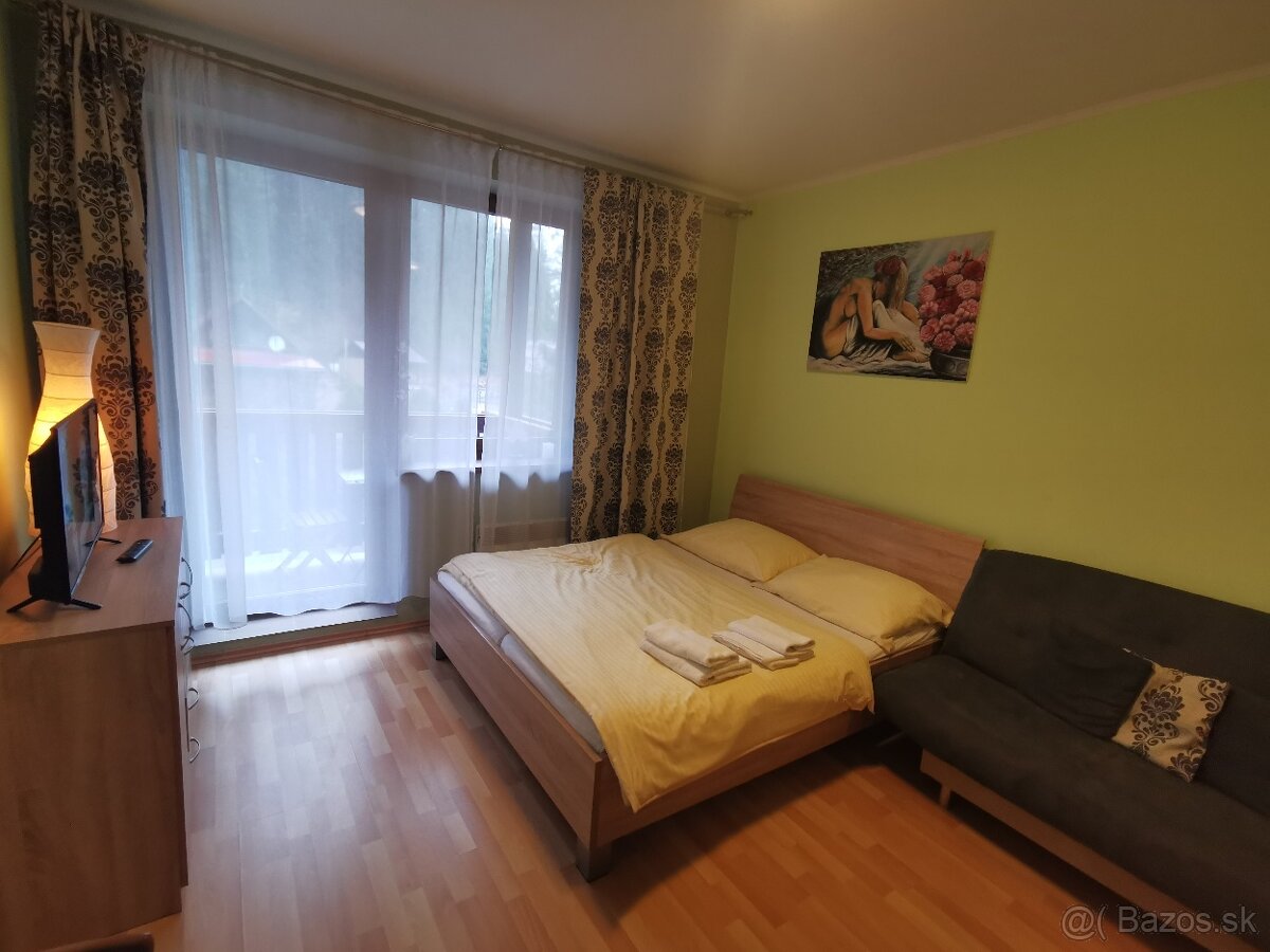Priestranný 1-izbový apartmán s balkónom - 3