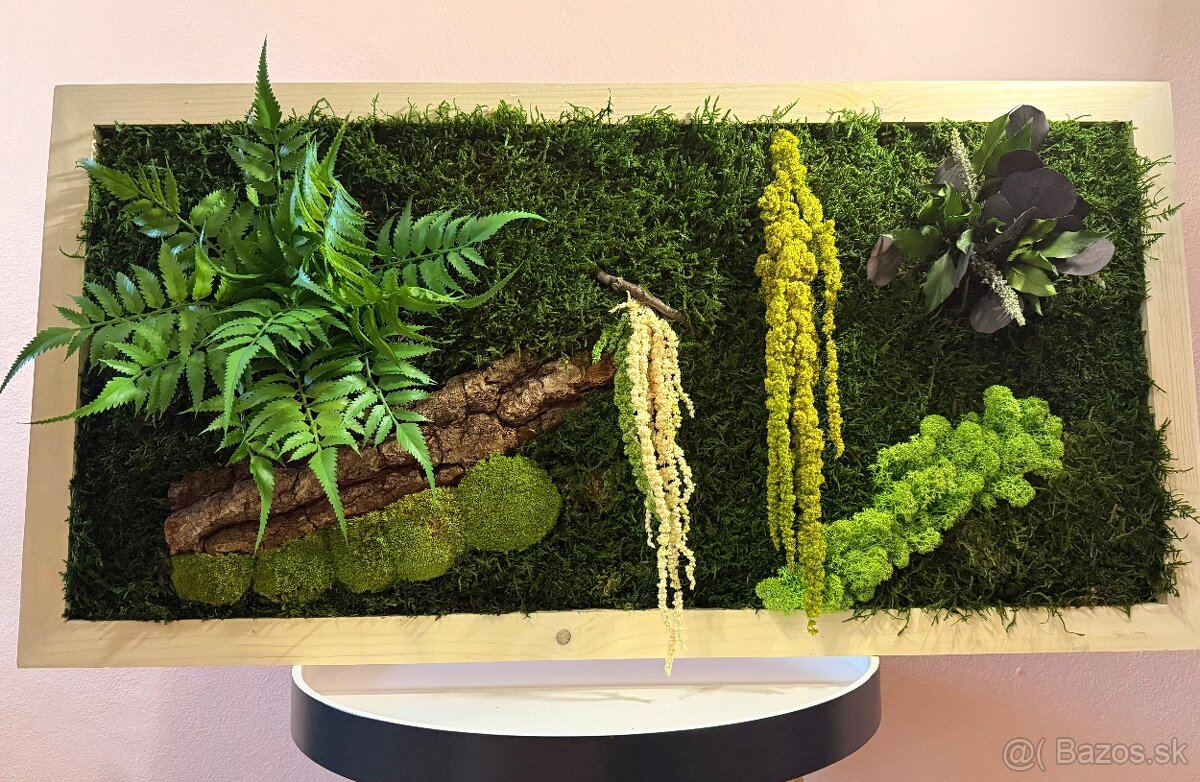 Machový obraz v drevenom ráme - 3