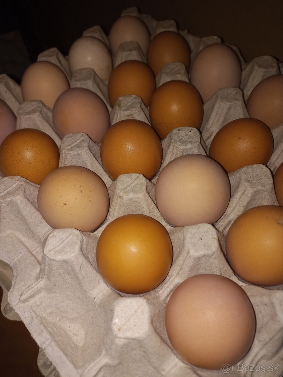Nasadove vajcia - 3