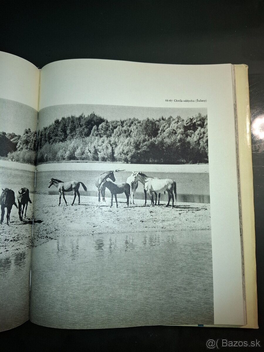 Dunaj - Ester Plicková - 3