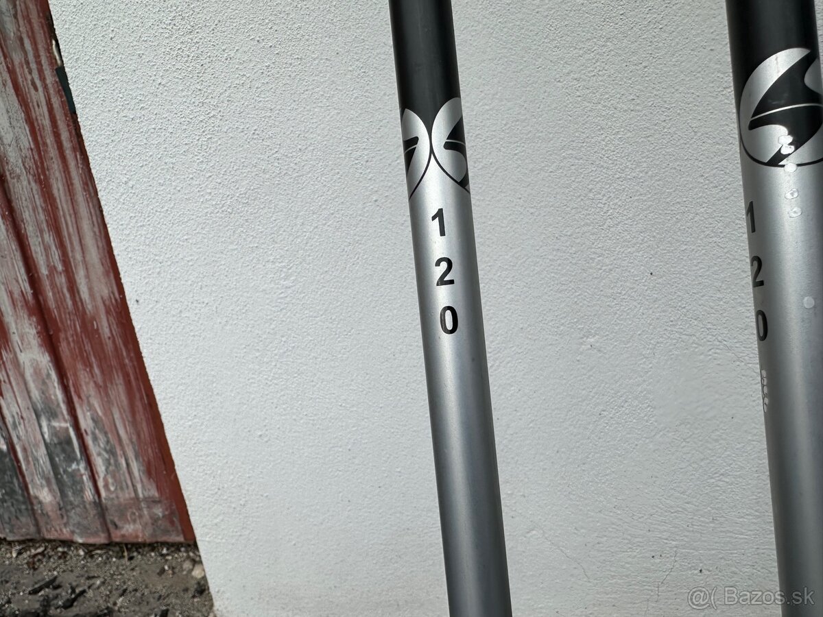 Lyže Fischer RC4 Worldcup SC 165 - 3