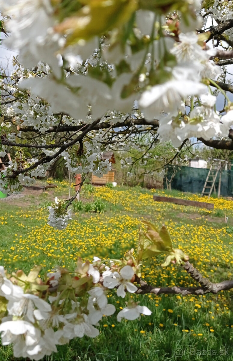 Predám chatu Košice- Konopiská - 3