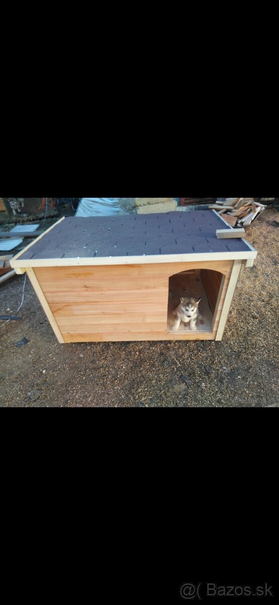 Eco buda pre psa. - 3