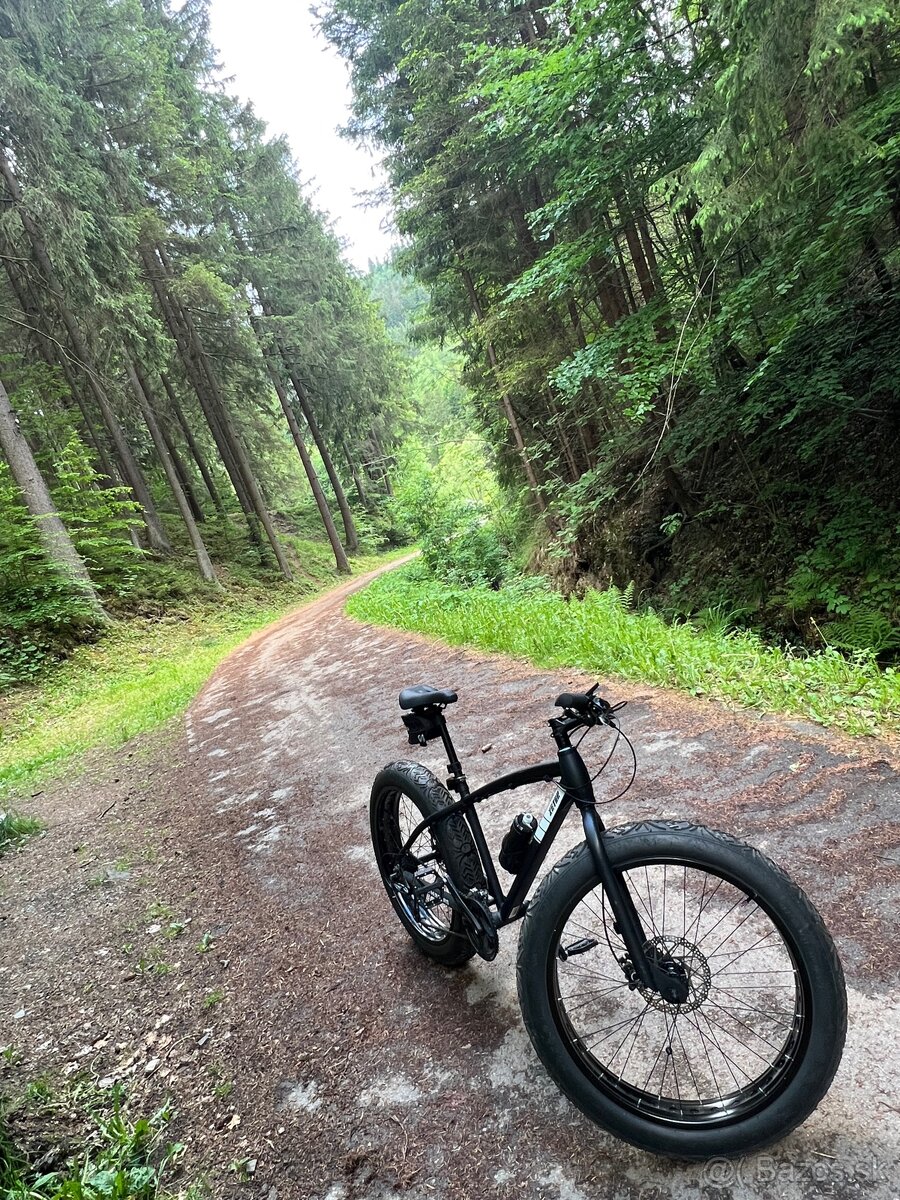 Fatbike - 3
