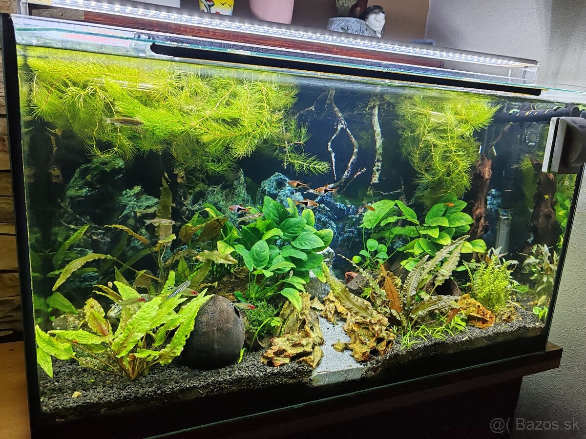 Akva 126l, svetlo, filter - 3