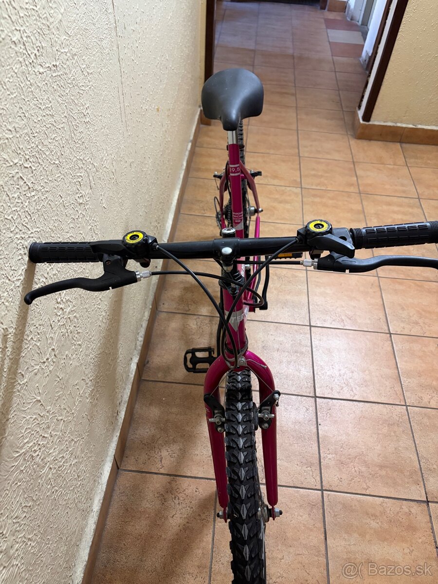 bicykel Ister-dámsky - 3