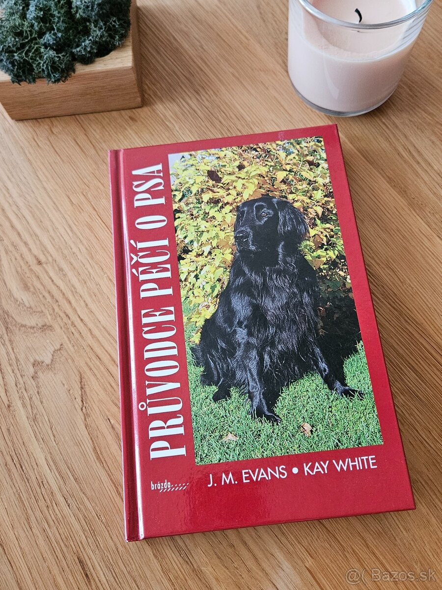 RÔZNE KNIHY ZA 3 EUR - 3