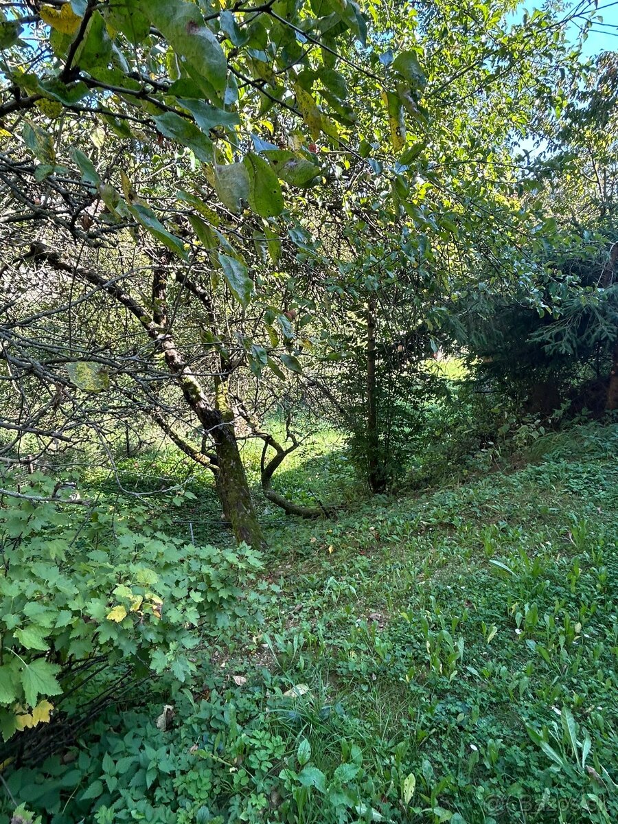 ponúkame bývanie v pone prírody - 3