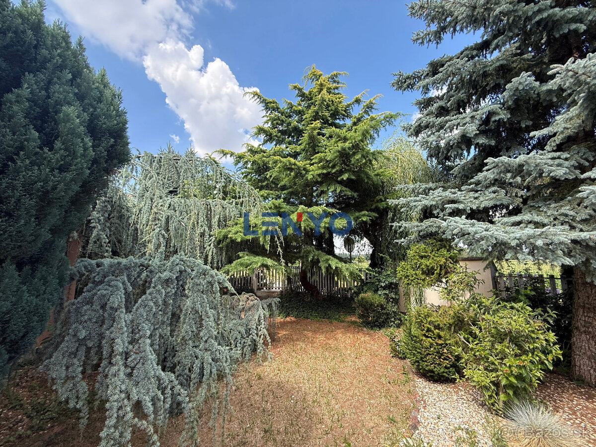 Nadštandardný dom Šaľa Gaštanová ul. - 3