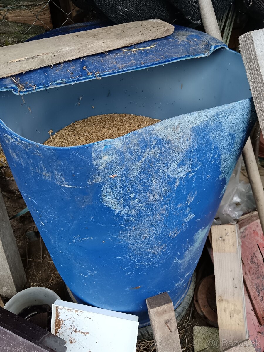 Jačmeň družstevný - 3