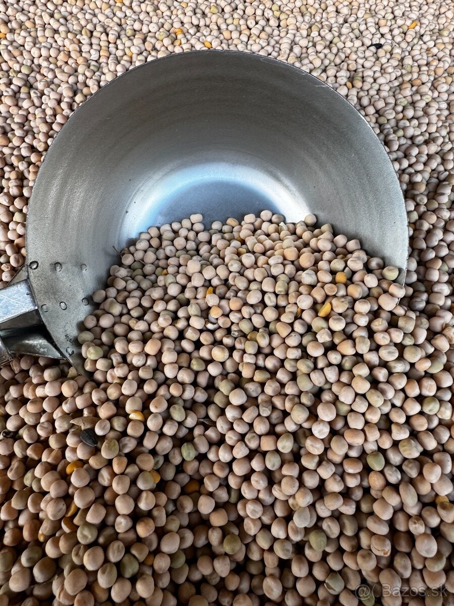 Hrach - vhodny pre holuby - 3