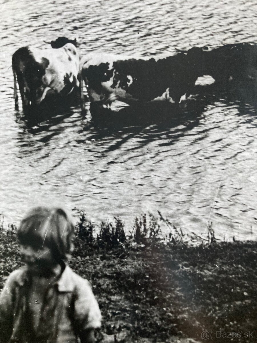 Irena Blühová - Najmladší pastier kráv - 3