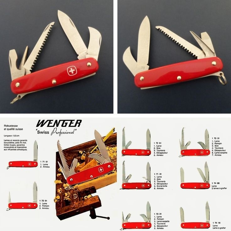 Wenger Delémont Professional 1.72.31 - 3