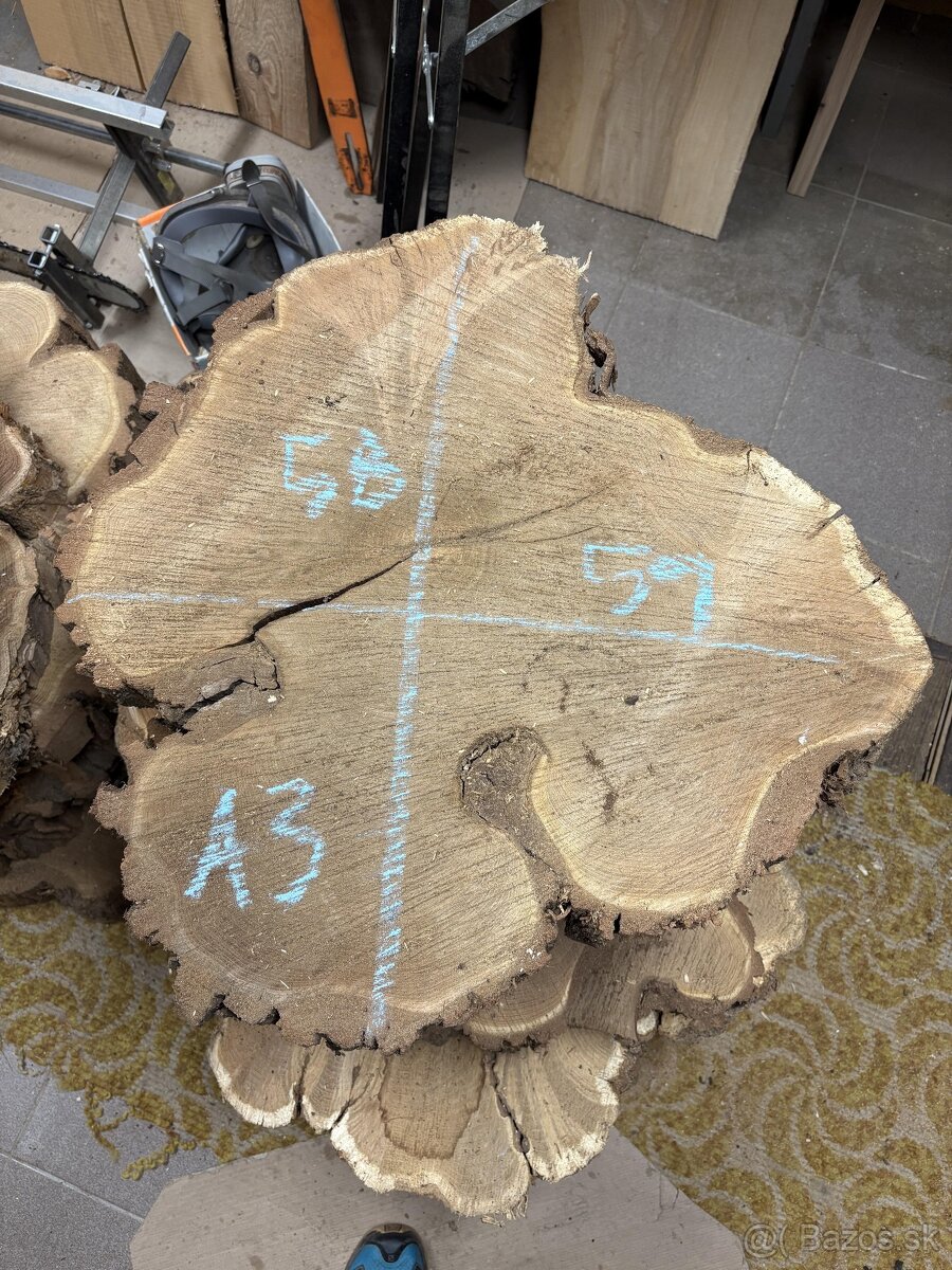 Vysušené agátové koláče / priečne rezy, agát - 3