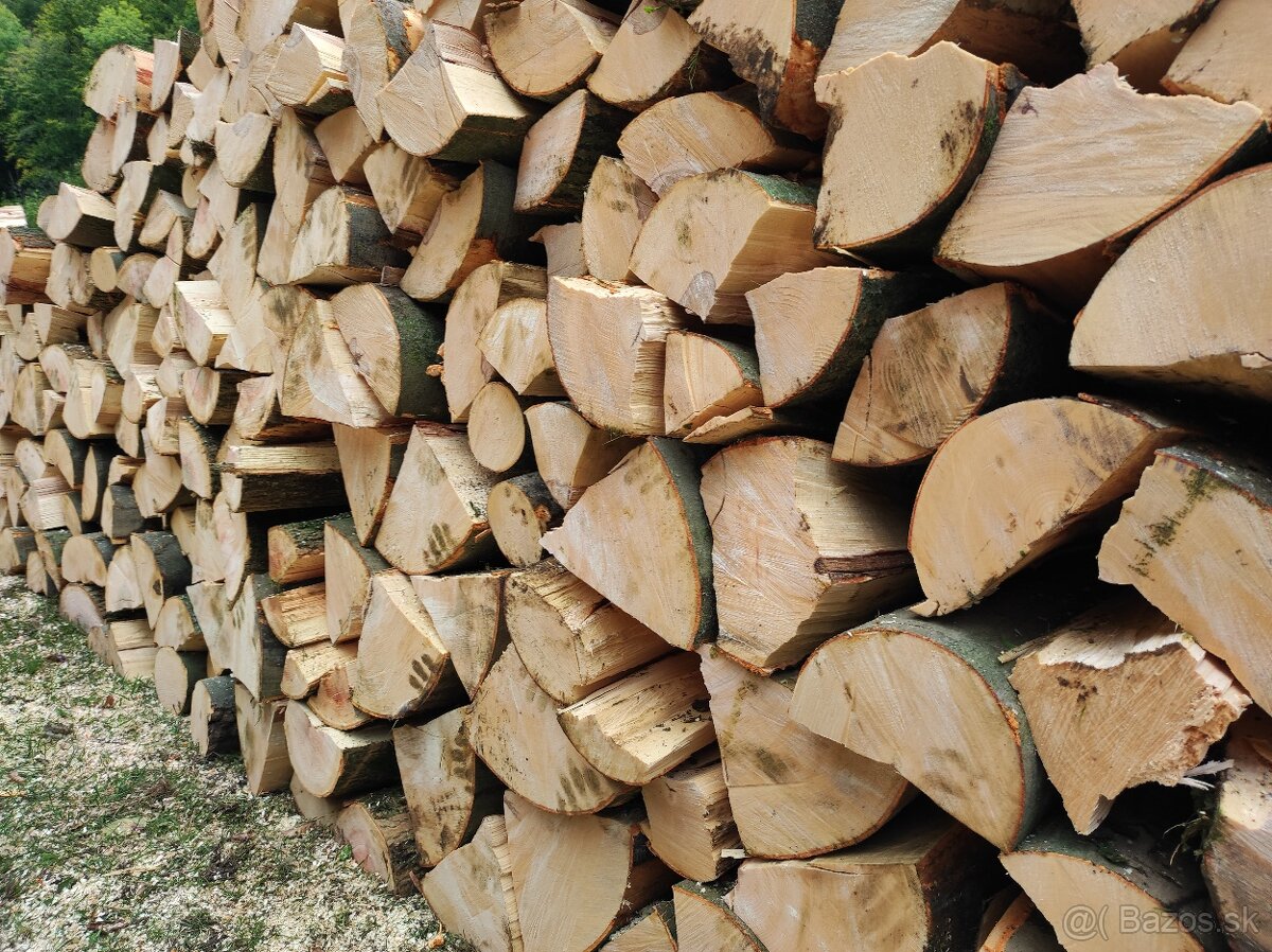 Palivove drevo - 3
