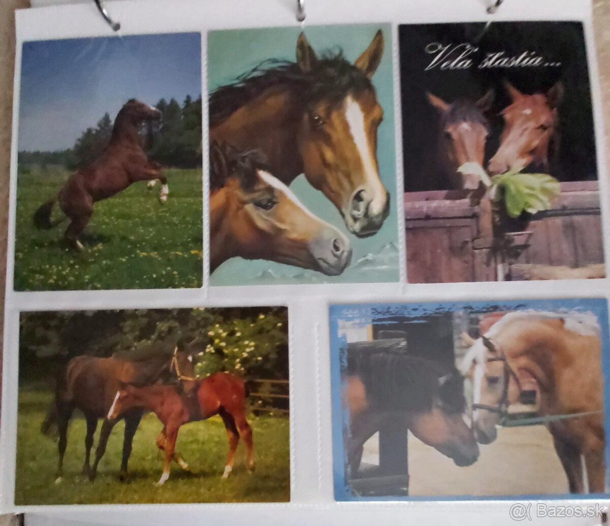 cca 150 pohľadníc zvierat - 3