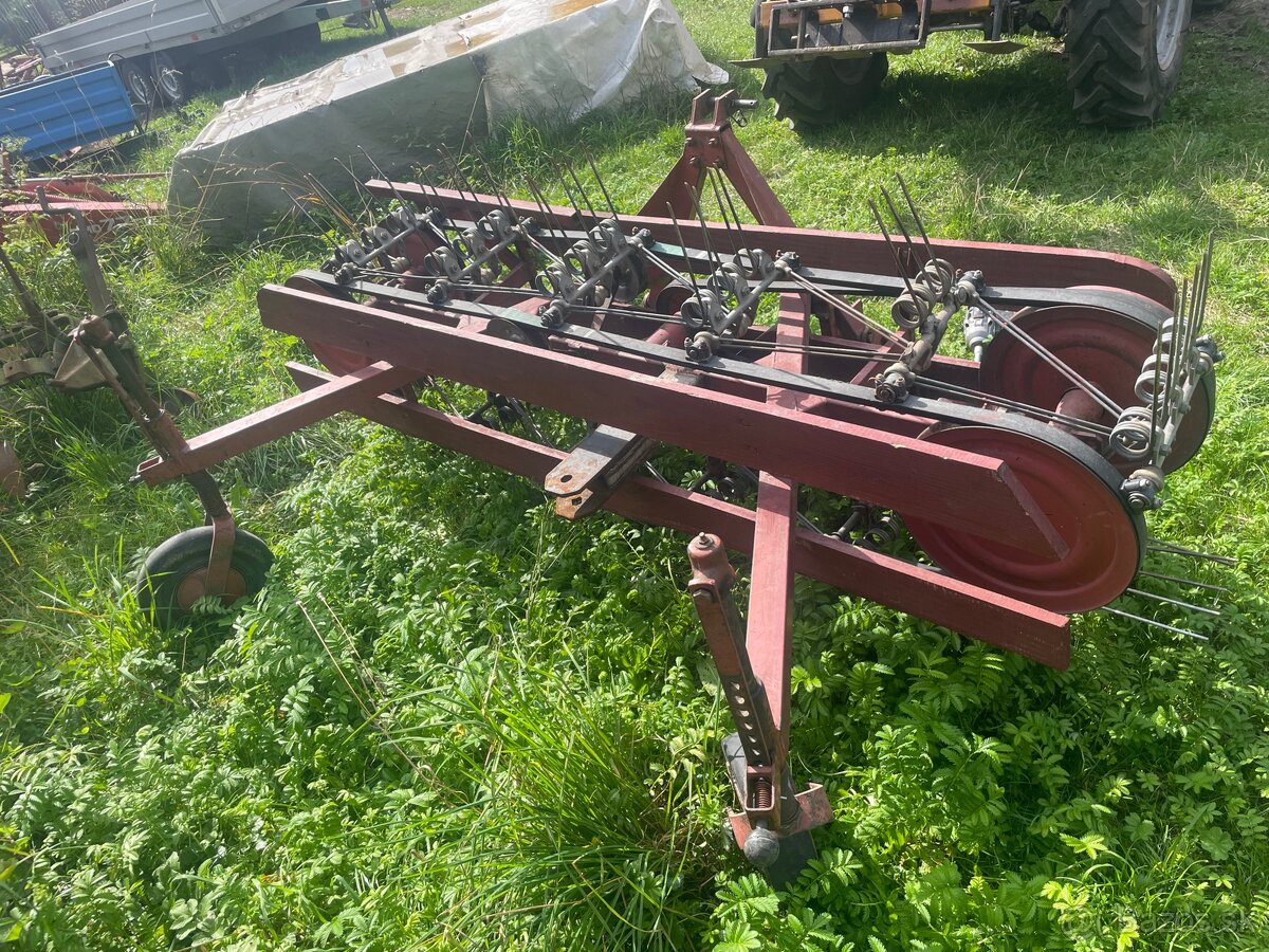 Pasova hrabacka Sip - 3