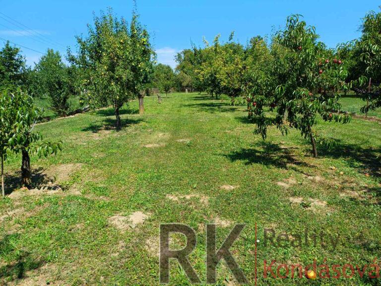 Pozemok na výstavbu domu 1 586 m2, Maďarsko- Göncruszka - 3