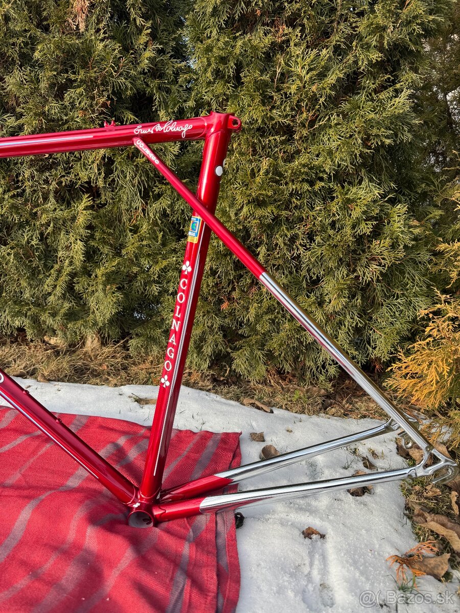Colnago Master Equilateral - 3