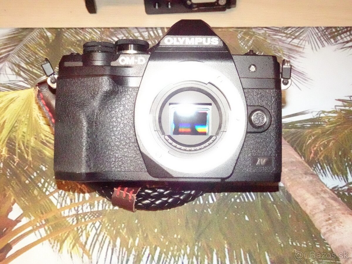 Olympus OMD10 IV - 3