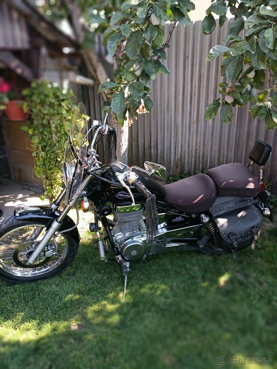 Suzuki savage 650 - 3