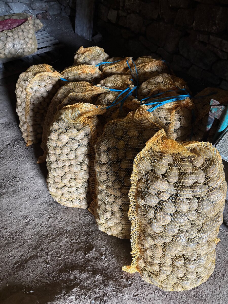 sadbove zemiaky sadba - 3