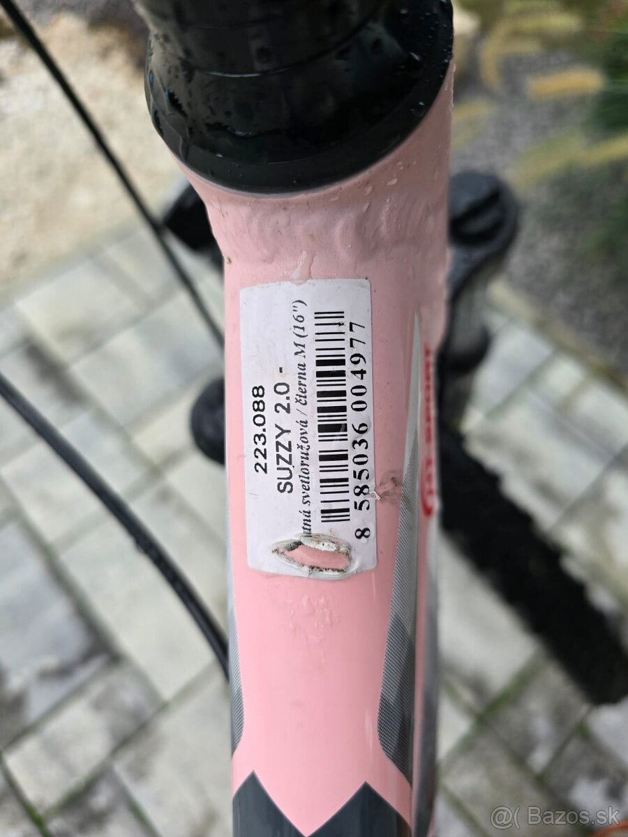 CTM SUZZY 2.0 2023 - 3