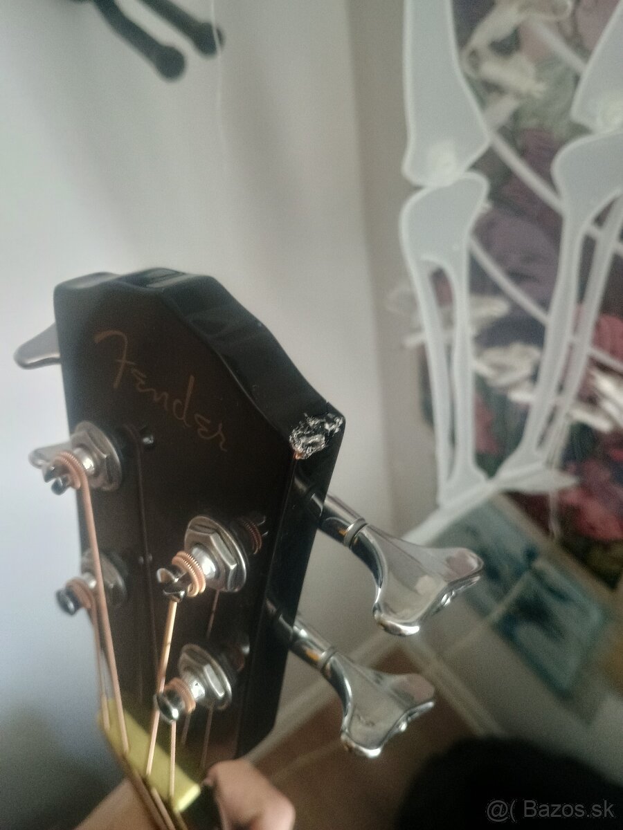 Elektro Akustická basgitara - 3