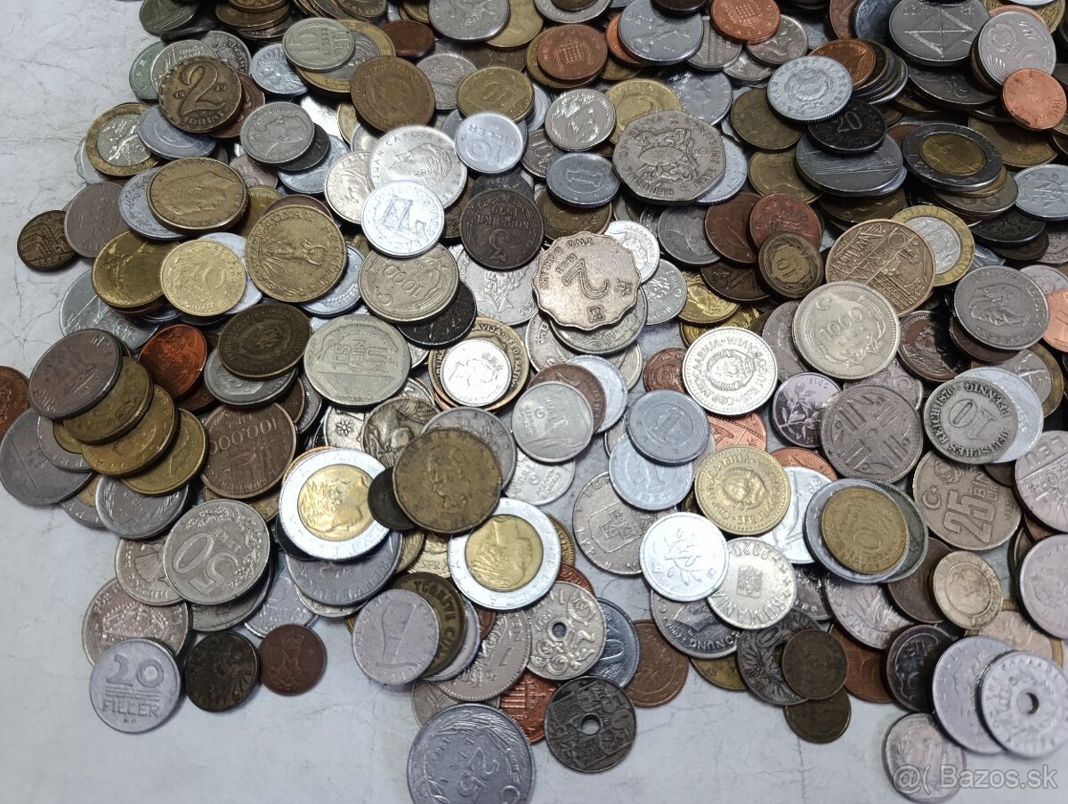 Mince 2.5kg lot4 - 3