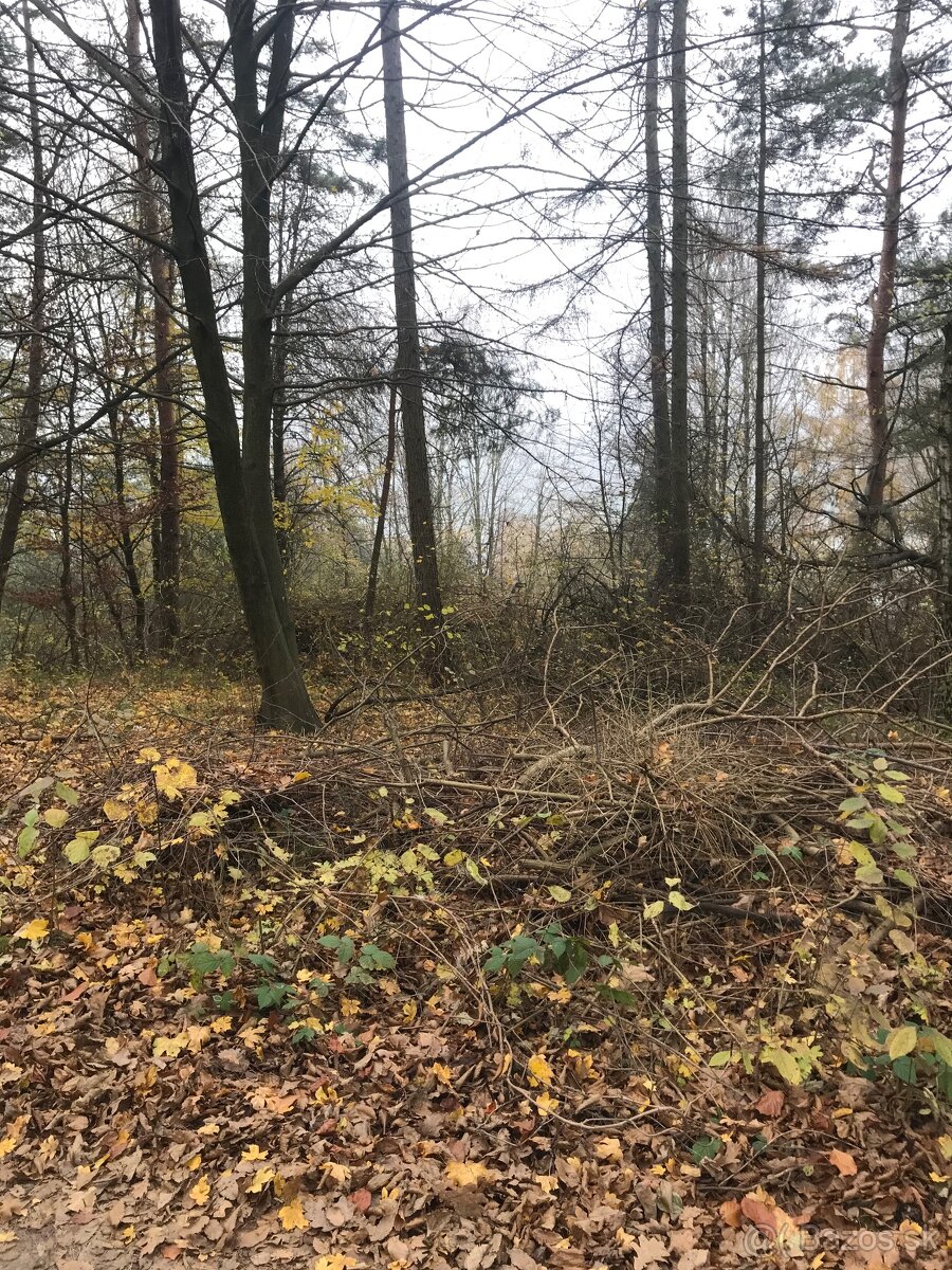 Stavebný pozemok - Domaša, Nová Kelča - 3