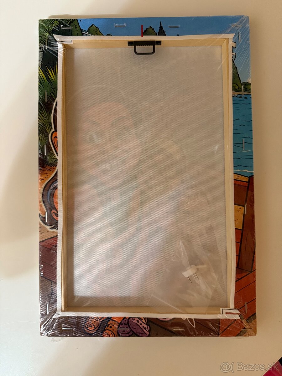 Karikatúra na plátne v ráme - 3