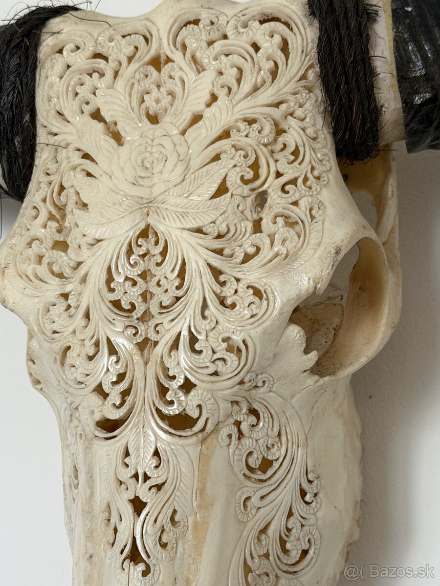 Lebka ručne vyrezavaná - originál - 3