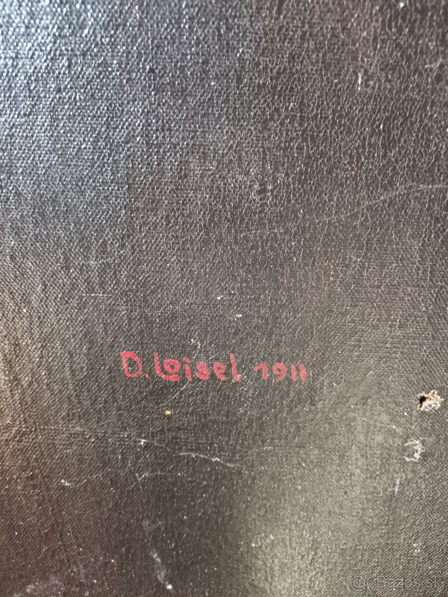 Obraz Veľký portrét - 3