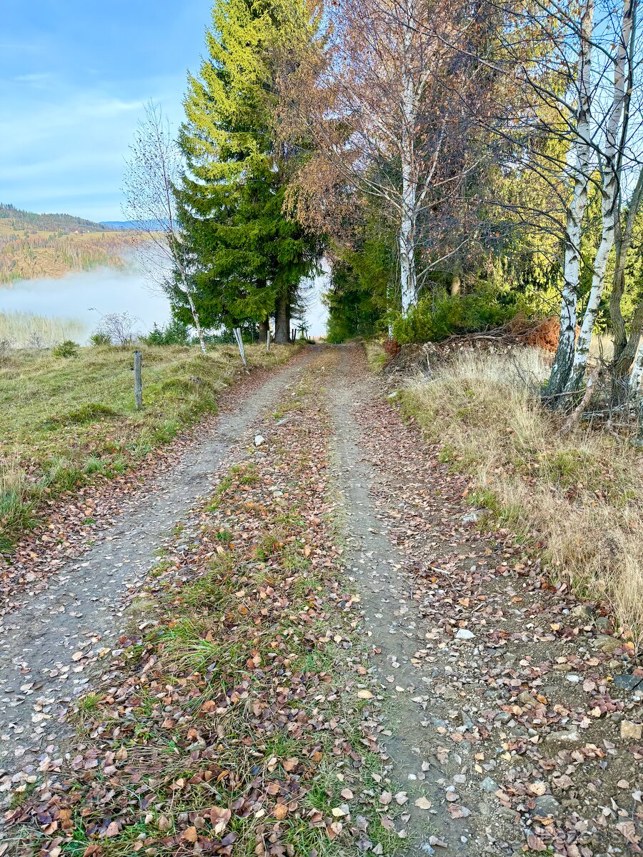 Pozemok STAVEBNÝ 8000m2 zo Zastavanou plochou 300m2 - 3