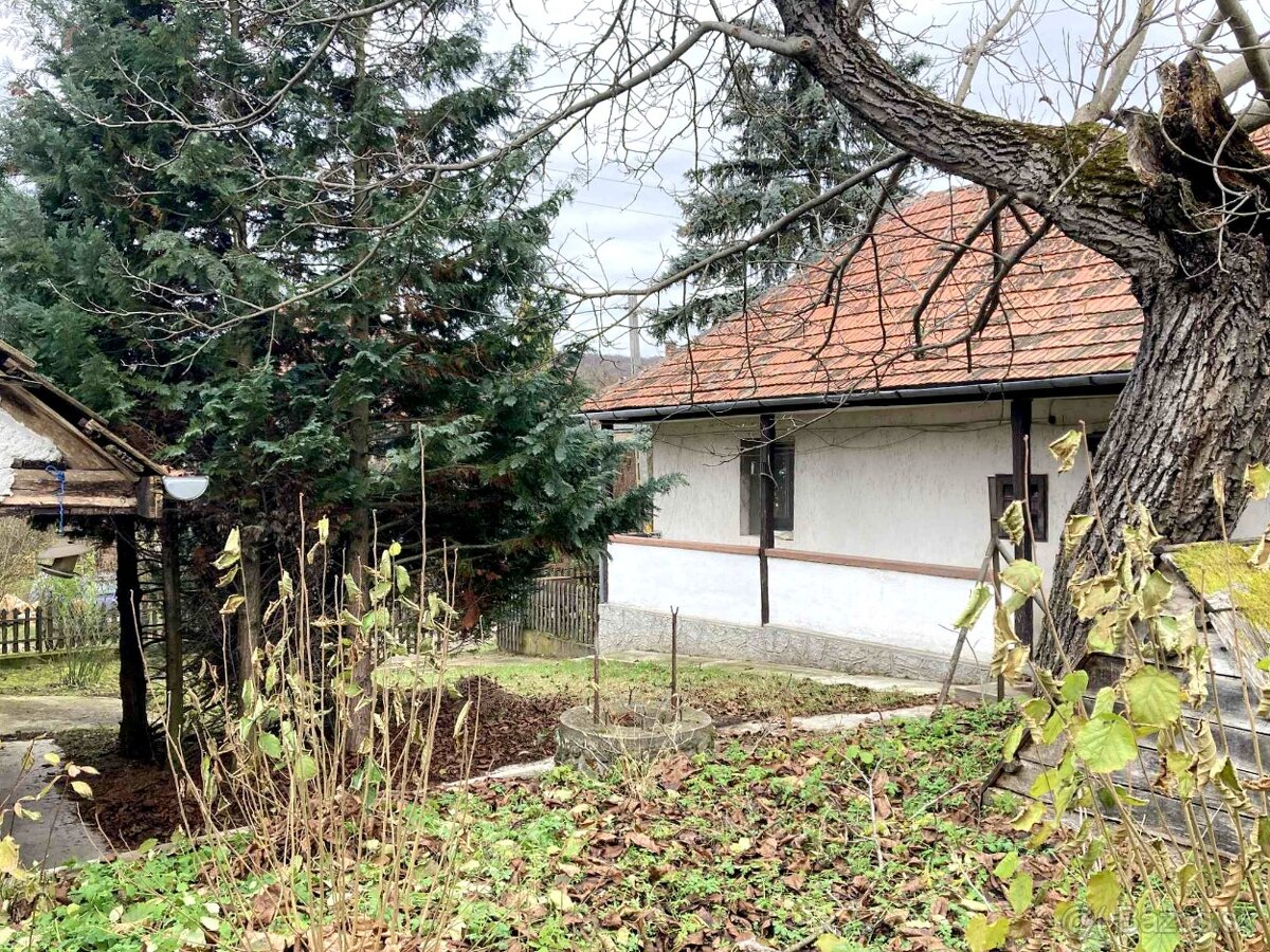 Dva domy na jednom pozemku, dielňa,garáž Hollóháza - 3