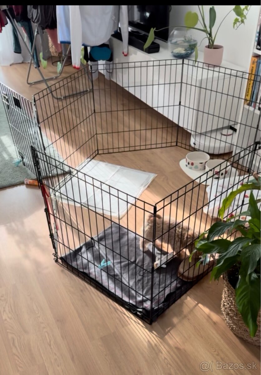 Ohrádka pre psa - 3