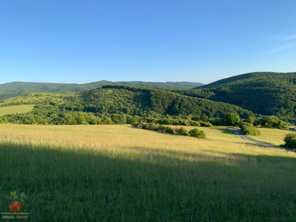 Predaj pozemku v prírode Jedľové Kostoľany - 3