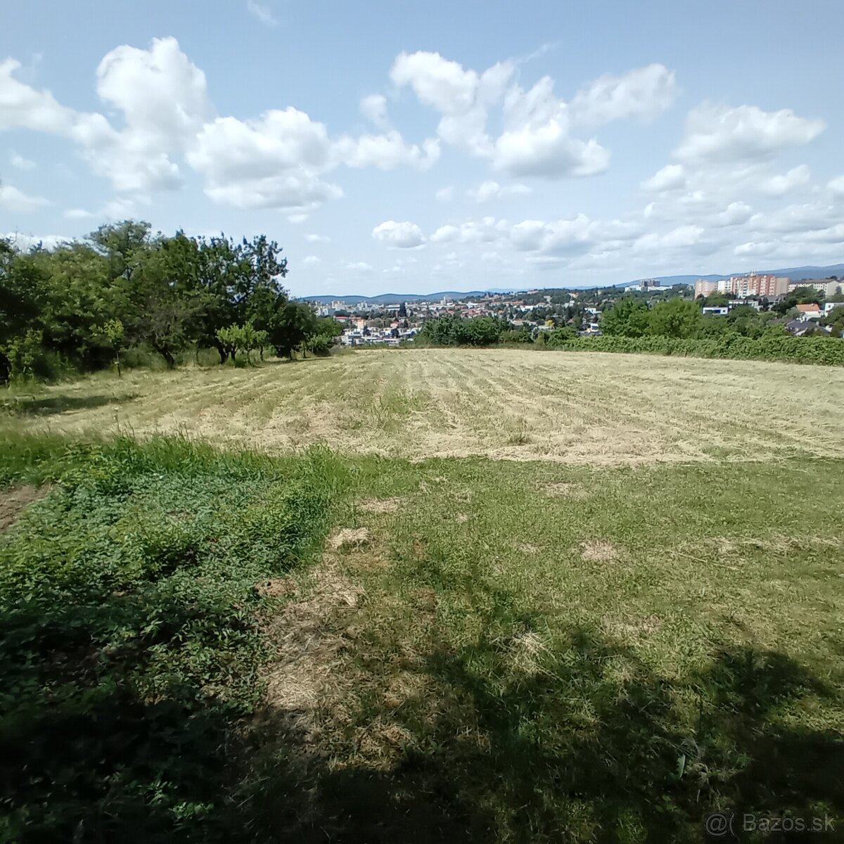 Investičný pozemok Levice 3300 m2 -Staré Levice aj chatka - 3