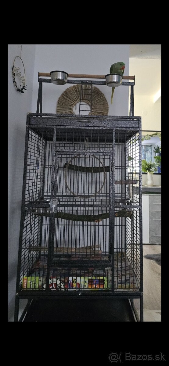 Alexander čínsky - 3