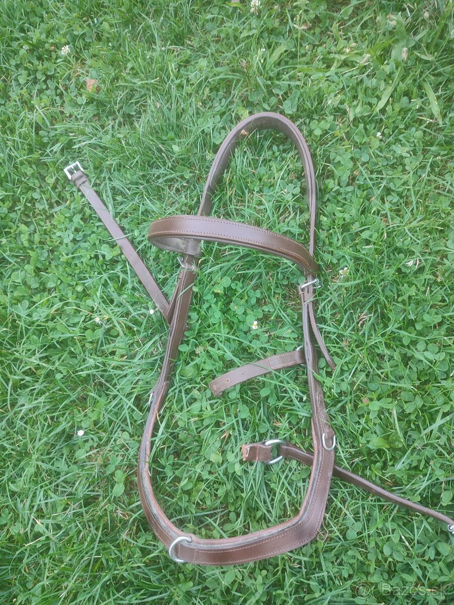 Staré/pokazené uzdečky - 3