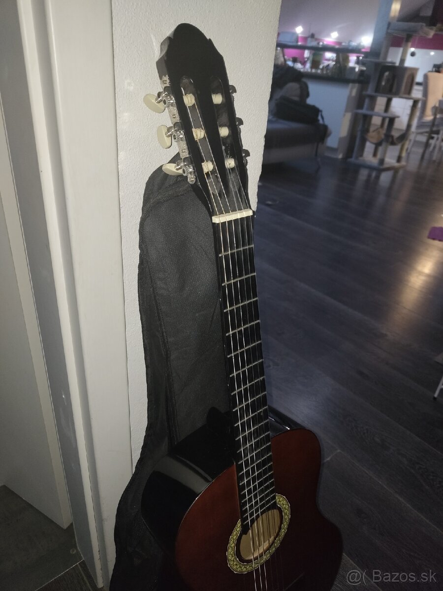 Gitara Sheffield - 3