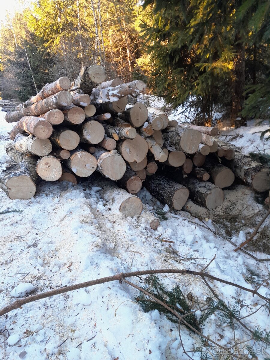 Palivové drevo - 3