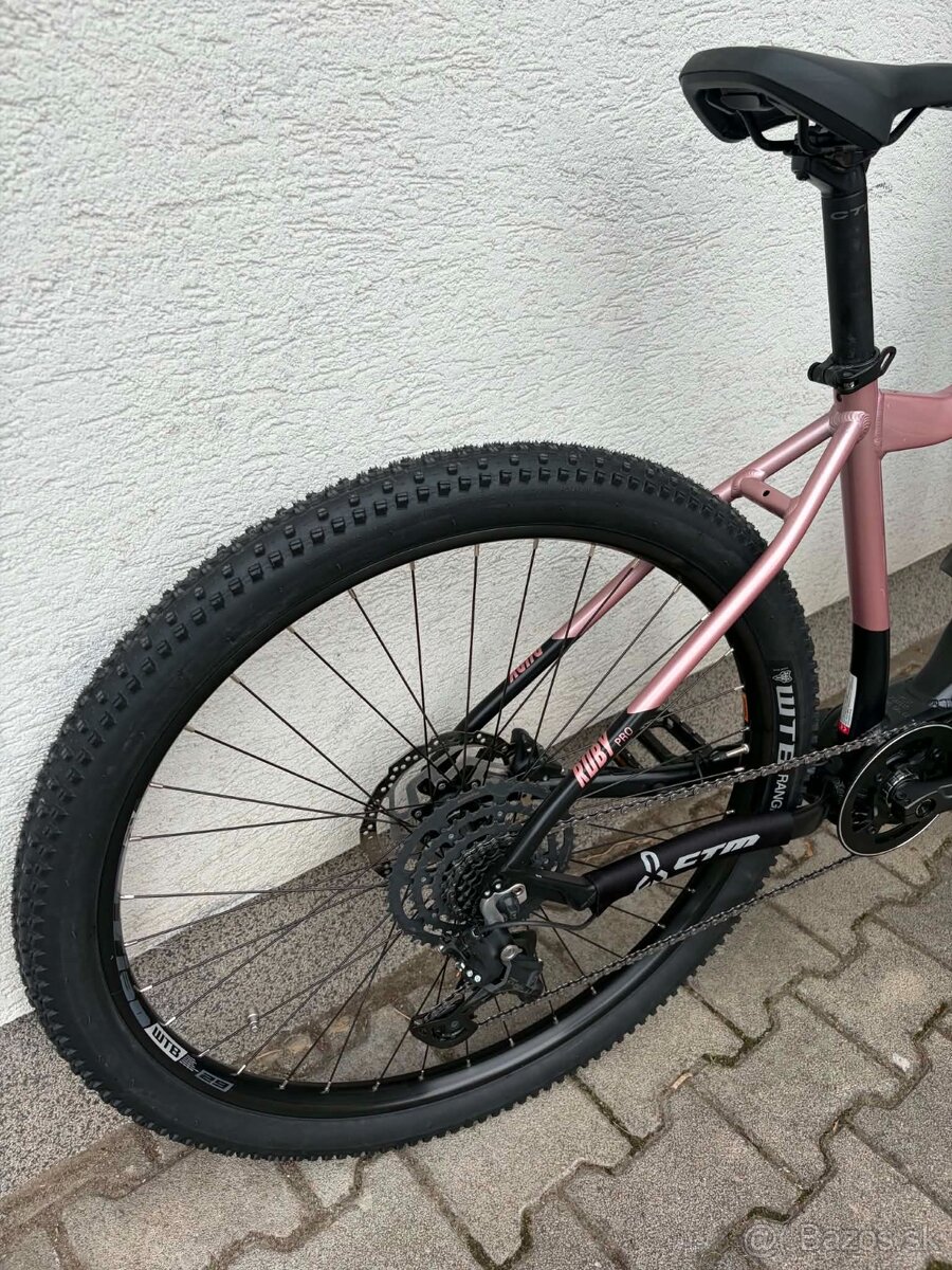 Ctm ruby pro 2024 - 3