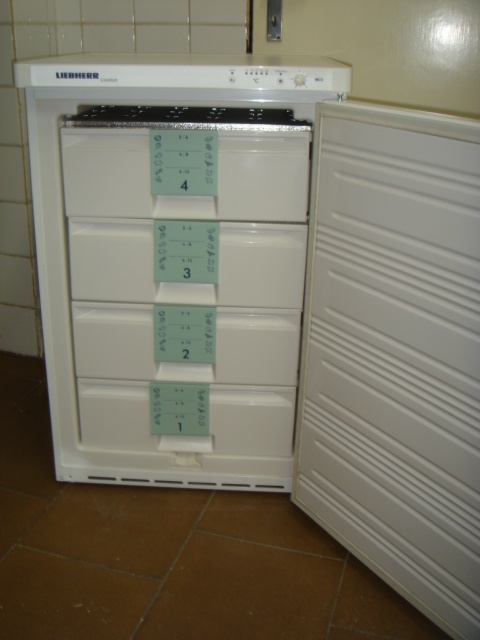 mraznička - 3