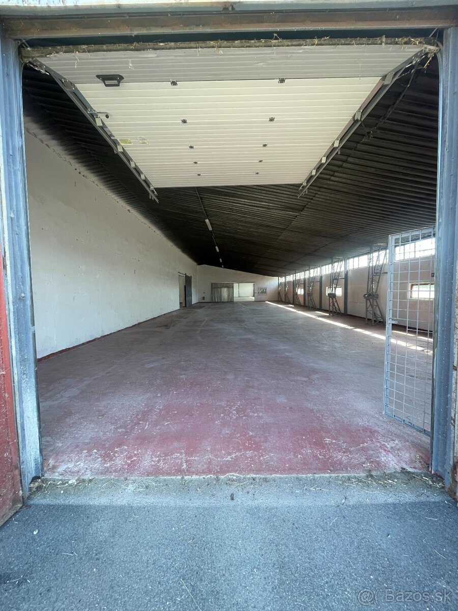 Skladová - Výrobná hala Želiezovce - 3