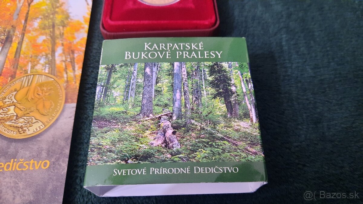 100€ Bukove pralesy - 3