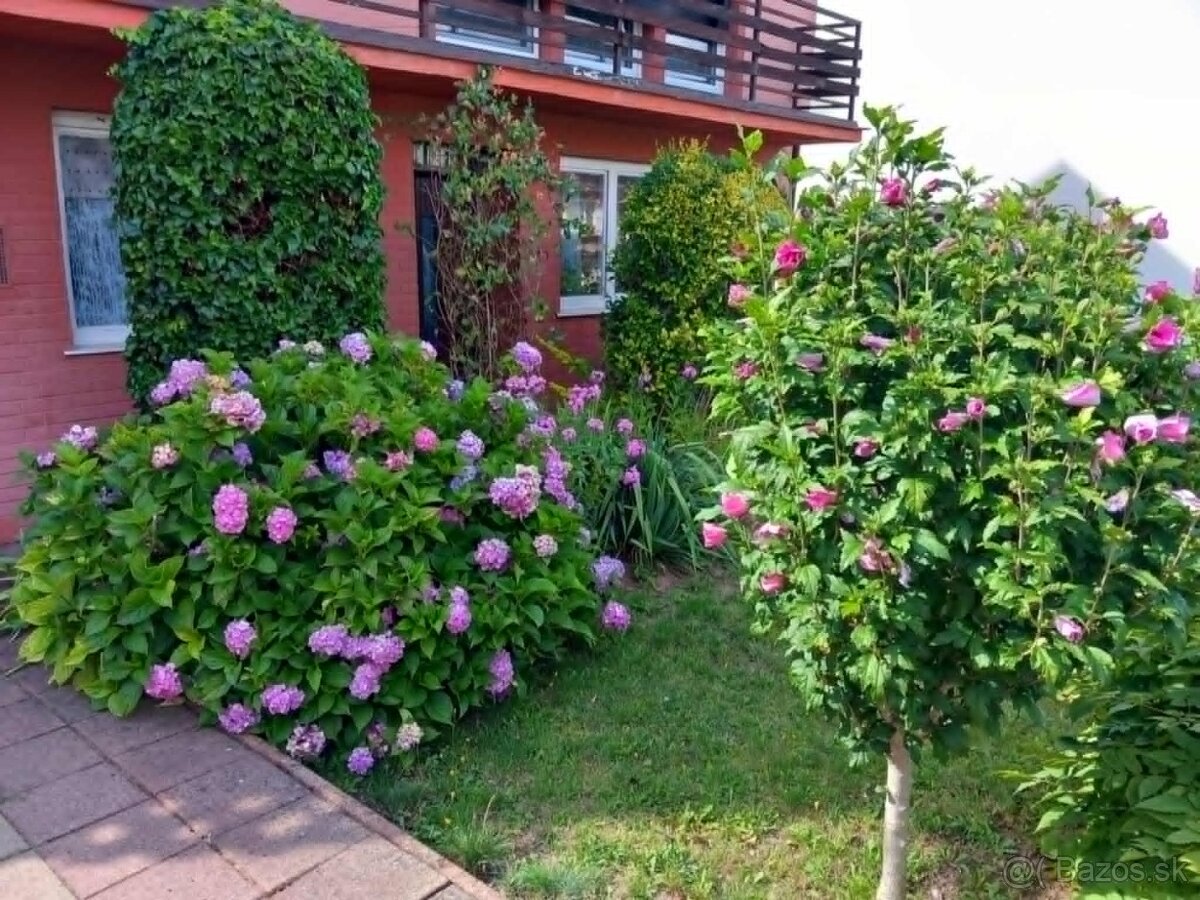 Rodinný dom v kúpeľnej obci Kováčová pri Zvolene - 3